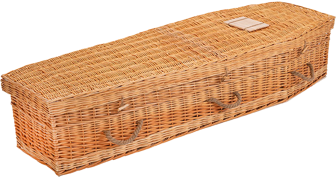 Eco Coffin 1